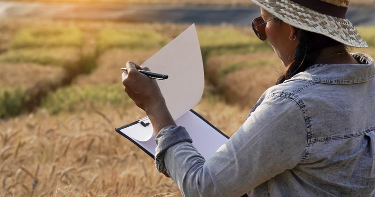SEMAE e Sistema OCESC capacitam técnicos de cooperativas no novo sistema de Cadastro Ambiental Rural&nbsp;