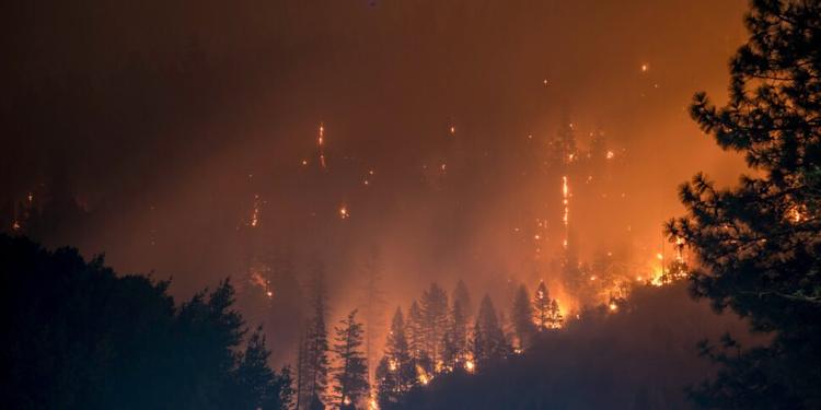 Incendi boschivi, monitoraggio Ispra: Calabria seconda regione più colpita