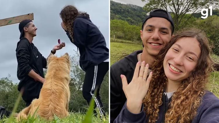 Cachorrinha 'invade' pedido de casamento, rouba a cena e momento viraliza; VÍDEO