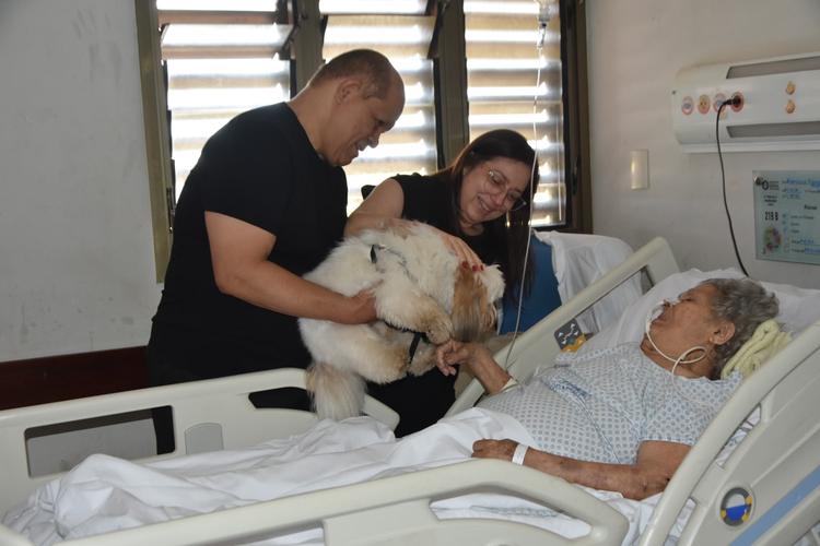 Dia do desejo: conheça projeto que fez reencontro de paciente com o cão de estimação em hospital