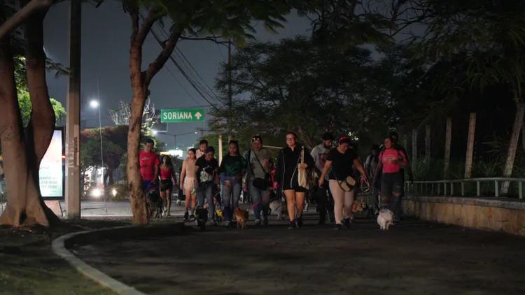 Cada sábado, hasta 60 personas pasean con sus perros en Tuxtla Gutiérrez. Conoce el grupo Caminata Perruna, cómo unirte y por qué socializar a tu mascota importa.