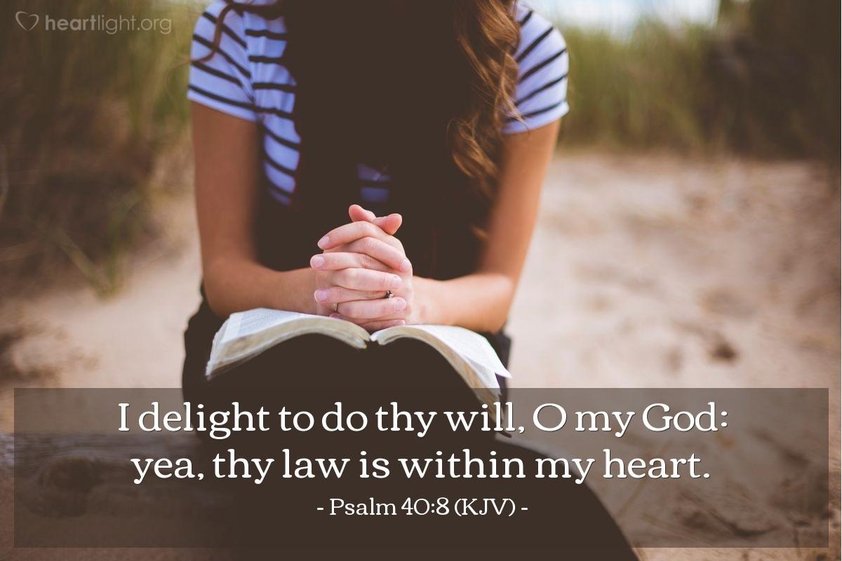Today's Verse - Psalm 40:8 (KJV)