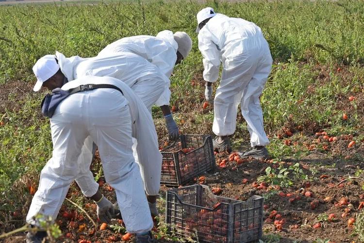 Paga di 800 euro mensili per 62 ore a settimana, in tre accusati di caporalato