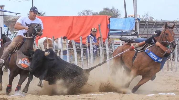 Campeão de vaquejada é assassinado a facadas no Ceará após recusar dividir dinheiro de premiação