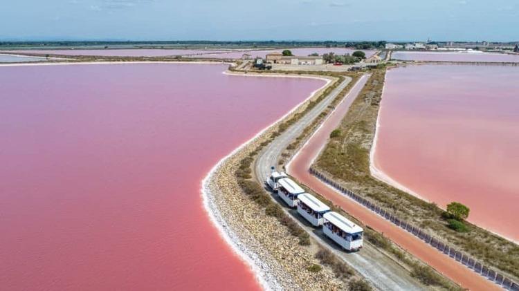 Aigues-Mortes : découvrez le programme d'Évènemen'sel