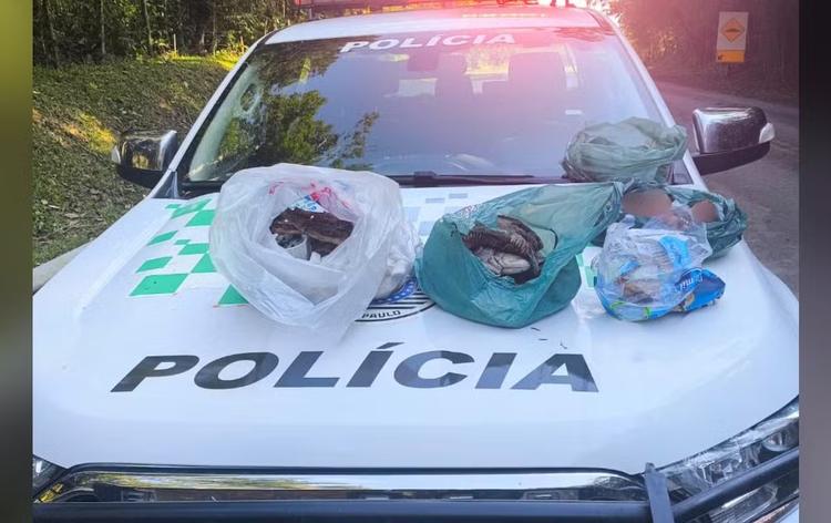 Homem é multado em R$ 28 mil após ser flagrado com 26 aves silvestres mortas no interior de SP