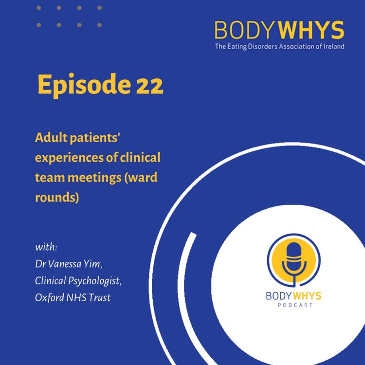 Episode 22: Adult patients' experiences of clinical team meetings (ward rounds)