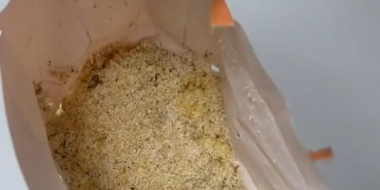 Insetti e vermi in cibo per bimbi nel Napoletano: sequestri in cinque strutture socio-assistenziali gestite da una coop