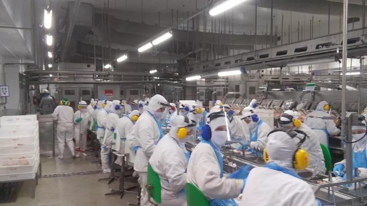 Frigoríficos Uniaves e Pif Paf são condenados por jornada excessiva e ausência de descanso semanal de funcionários no ES