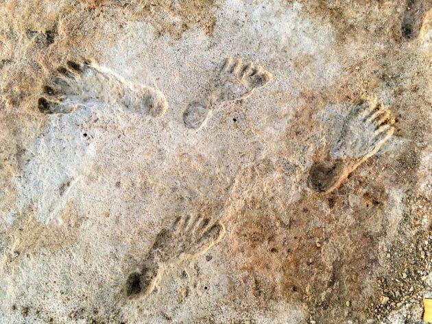 Die Fußabdrücke von White Sands sind das bislang älteste Zeugnis menschlicher Aktivität auf den amerikanischen Kontinenten. Quelle: Cornell University