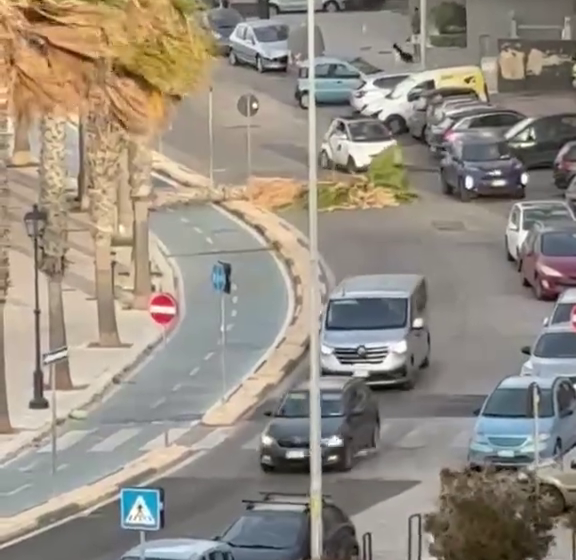 Trani, tromba d’aria provoca caduta di alcuni alberi. Sindaco dispone chiusura villa comunale