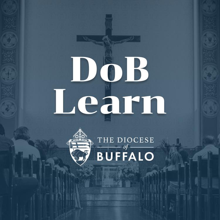 Introduction to DoB Learn