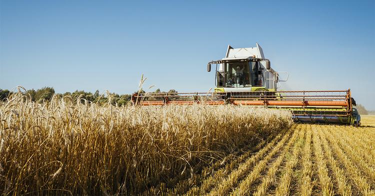 Valor Bruto da Produção Agropecuária é estimado em R$ 1,44 trilhão em setembro