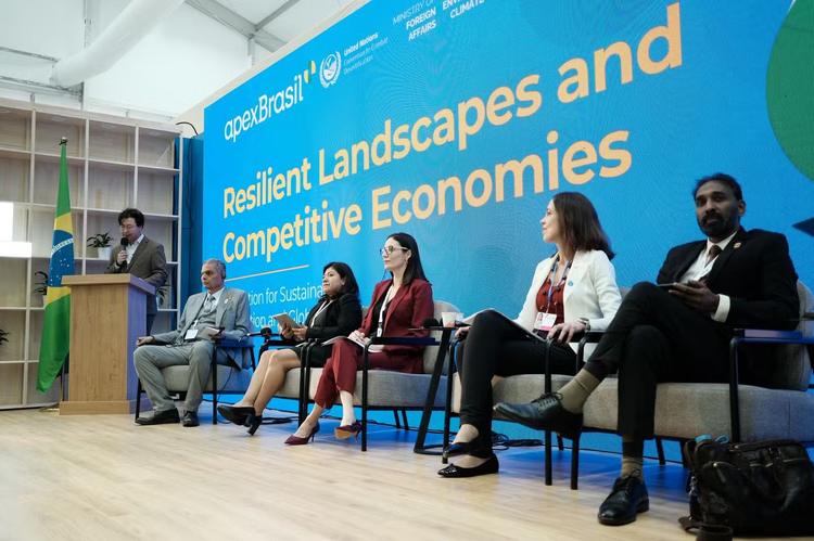 COP17: comércio internacional entra no debate sobre produção sustentável e combate à desertificação