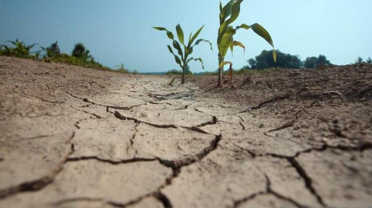Gard : la situation hydrologique se dégrade, premières restrictions d'eau