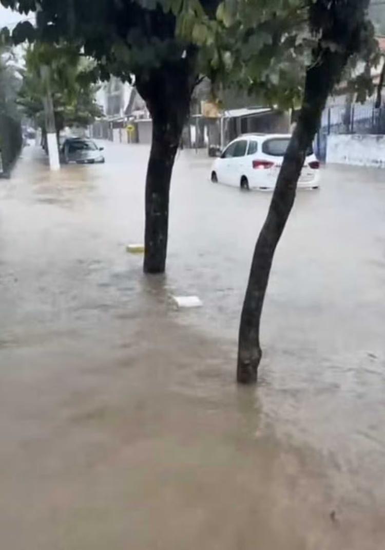 VÍDEO: Chuva de 95 mm mobiliza Defesa Civil, causa alagamentos e queda de árvore em Vassouras