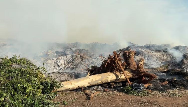 Incêndio atinge depósito municipal de galhos em Presidente Prudente