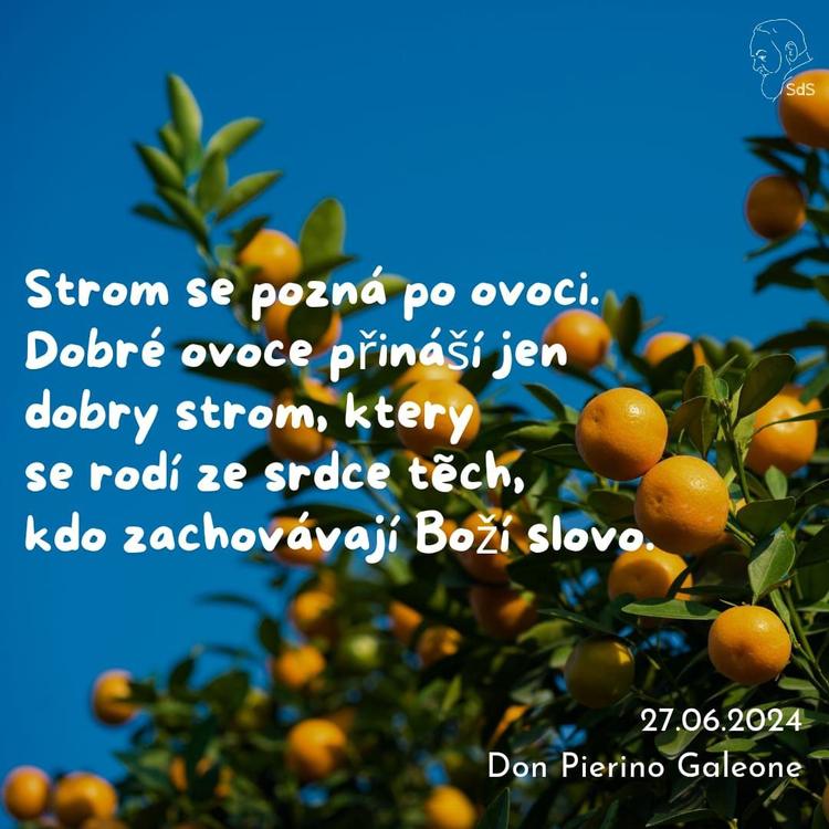 27.6.2024
Strom se pozná po ovoci. Dobré ovoce přináší jen dobrý strom, který se rodí ze srdce těch, kdo zachovávají Boží slovo.

Don Pierino Galeone