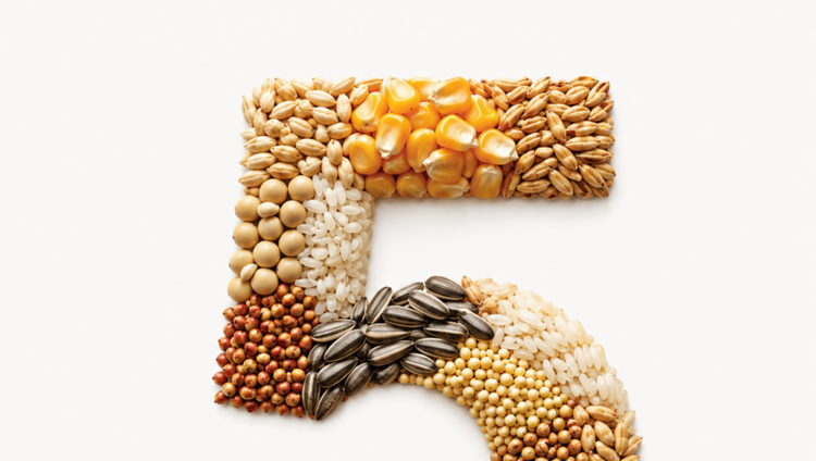 Five Ways Crop Diversity Strengthened Food Systems