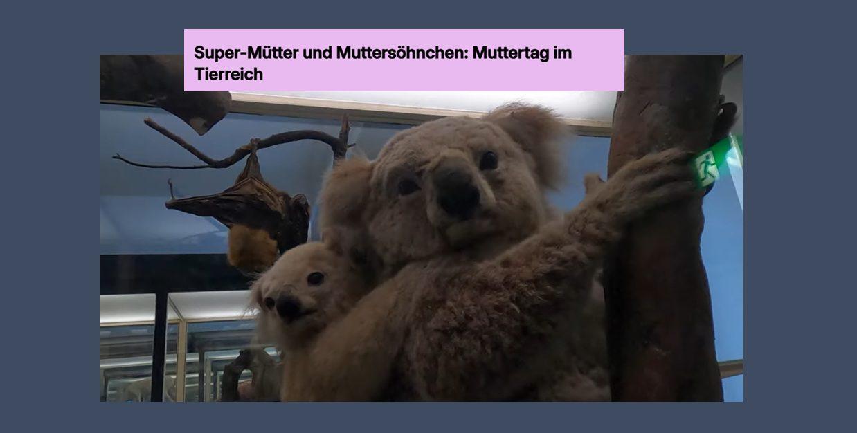Muttertag im Tierreich