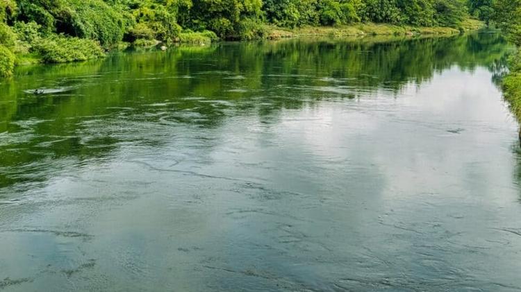 Une femme se jette dans un fleuve avec son bébé