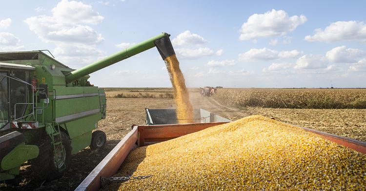 O que explica a alta de 10% no preço da soja em agosto