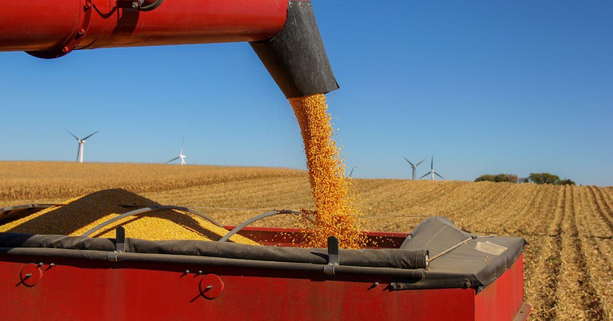 PIB do agro cresce 2% no primeiro trimestre, mas fica abaixo das expectativas