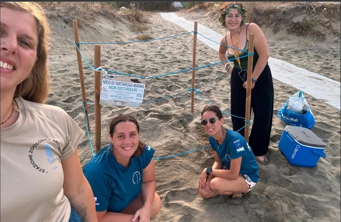 Pollica: primo nido di tartaruga Caretta Caretta della stagione sulla spiaggia di Acciaroli