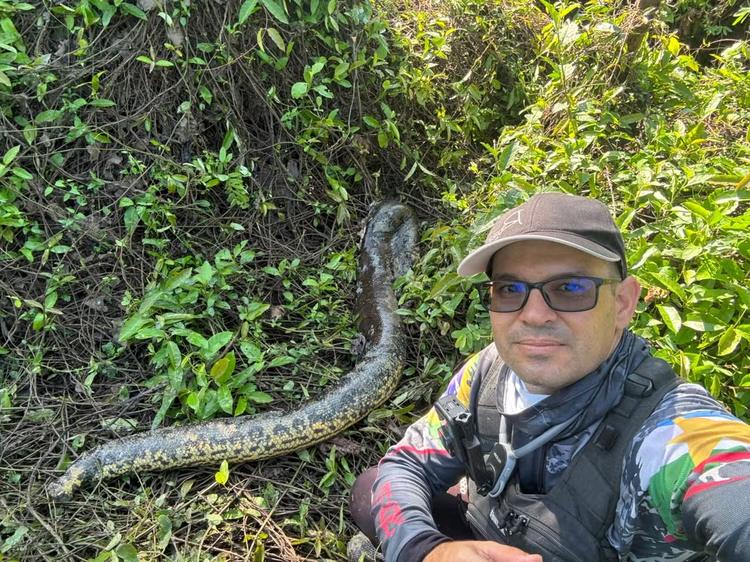 VÍDEO: Pescador esportivo encontra sucuri de 3 metros sem cabeça e cauda perto de rastros de onça no interior de Roraima