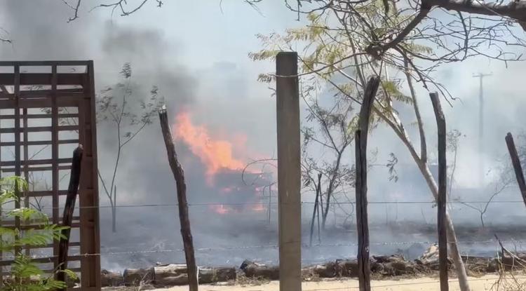 Incêndio atinge caminhões apreendidos pelo Ibama em parque municipal de Mossoró