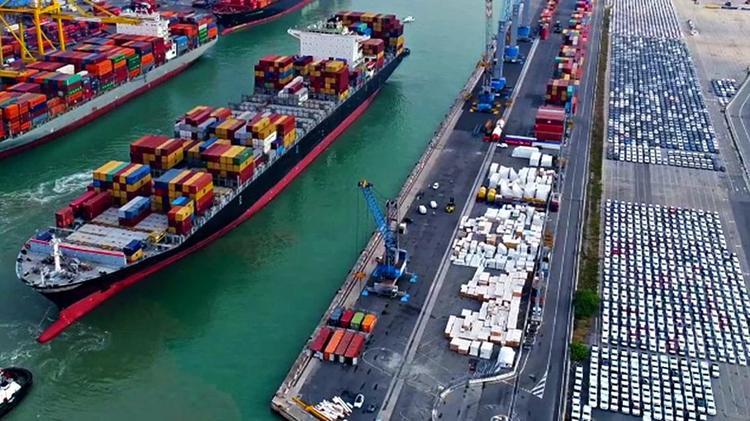 Sequestrati 53 kg di cocaina tra la frutta nel porto di Livorno