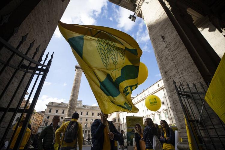 Coldiretti, piano per il grano