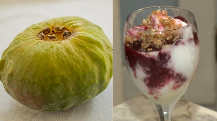 Você conhece a gabiroba gigante? Fruta rara da Mata Atlântica ficou famosa ao vencer concurso de sorvete