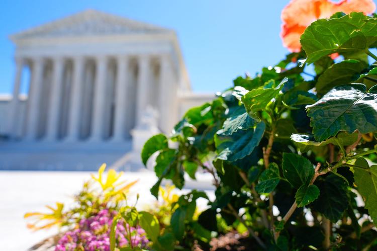 SCOTUS rules states can count late-arriving mailed ballots in case from Mississippi