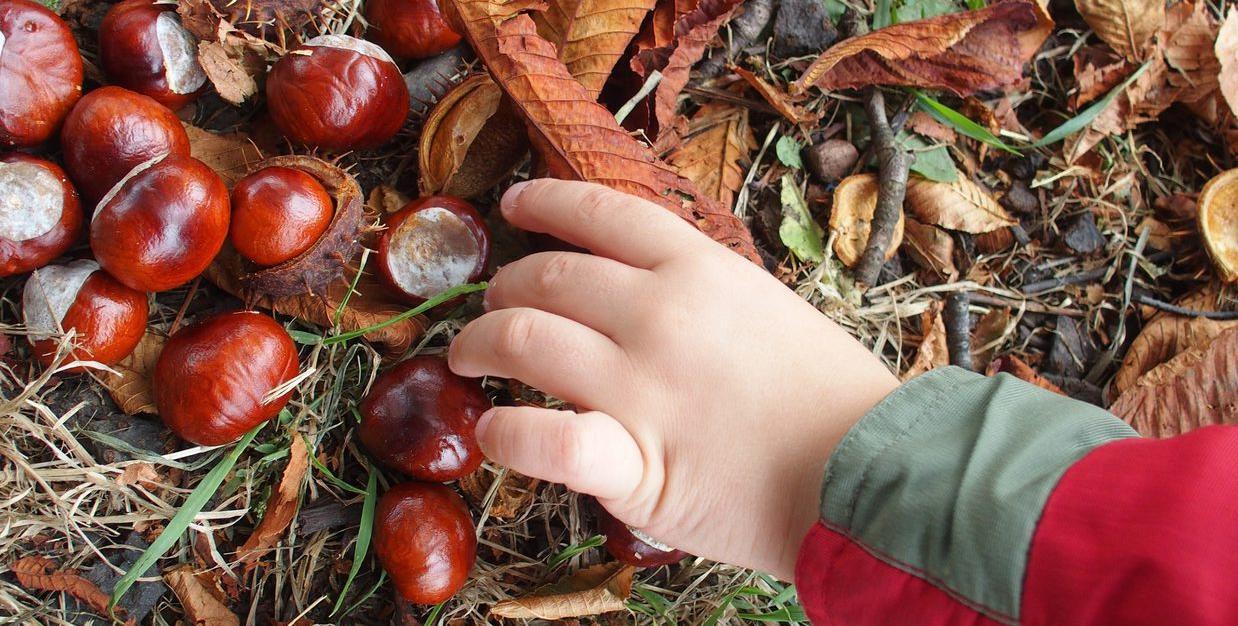 Herbstliche Bastelideen mit Materialien aus dem Wald