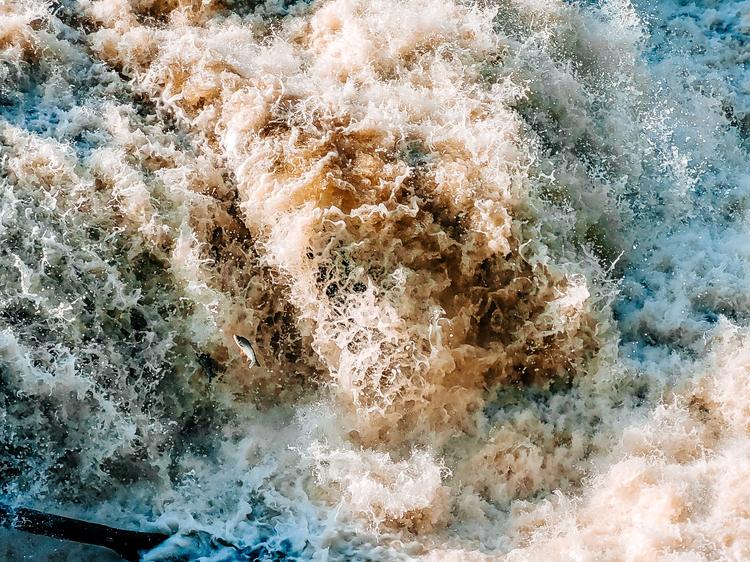Piracema começa neste domingo e pescadores de Piracicaba apoiam medida para proteger reprodução dos peixes