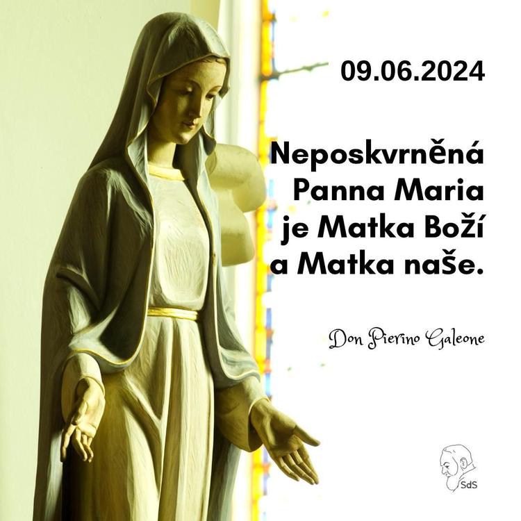 9.6.2024
Neposkvrněná Panna Maria je Matka Boží a Matka naše.

Don Pierino Galeone