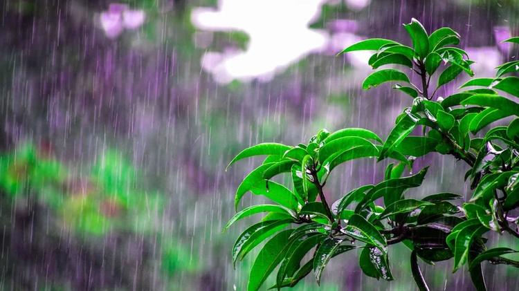 Lluvias desde horas de la mañana en varias provincias del país