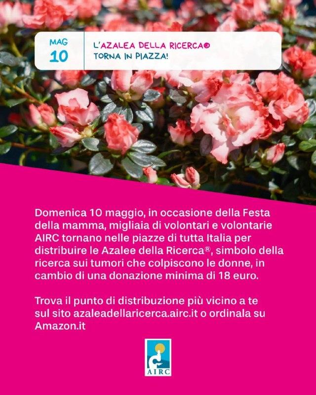 𝐋’𝐀𝐳𝐚𝐥𝐞𝐚 𝐝𝐞𝐥𝐥𝐚 𝐑𝐢𝐜𝐞𝐫𝐜𝐚 𝐭𝐨𝐫𝐧𝐚 𝐚 𝐒𝐚𝐧 𝐅𝐢𝐥𝐢! Domenica 10 maggio 2026, in occasione della Fes...