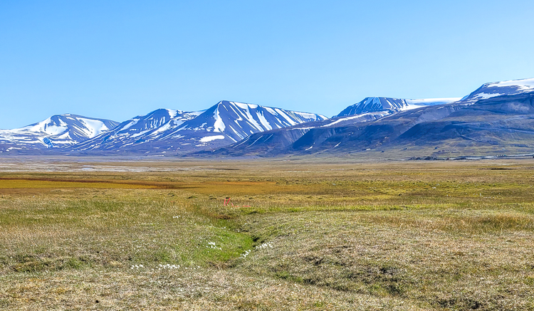 Cryopeg : de l’eau liquide dans le permafrost