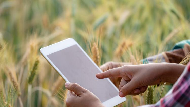 HARVEST Aims to Make Agricultural Data AI-Ready