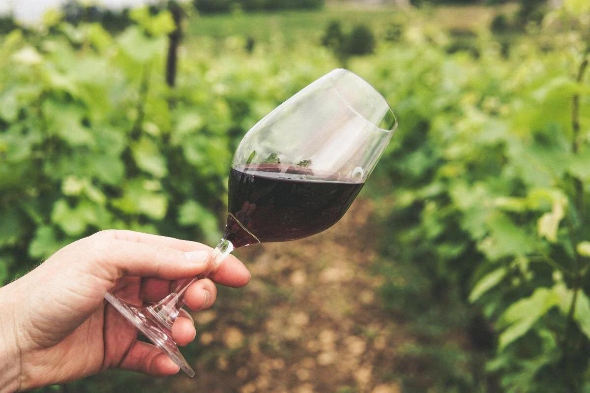 “La Via del Gusto”: a Futani un viaggio tra sapori, cultura e tradizioni del Cilento