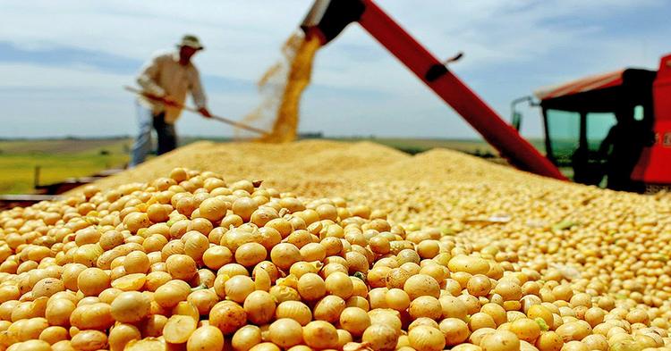 Agropecuária cresce 11,7% e puxa crescimento da economia em 2025