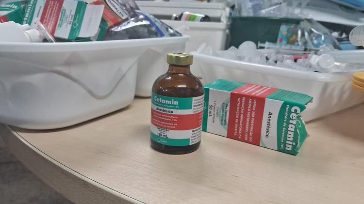Influenciadora presa com namorado em Manaus tinha cetamina entre drogas apreendidas, diz polícia