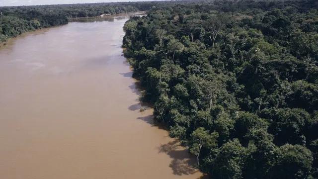 Desmatamento na Amazônia cai 61,4% em maio de 2026