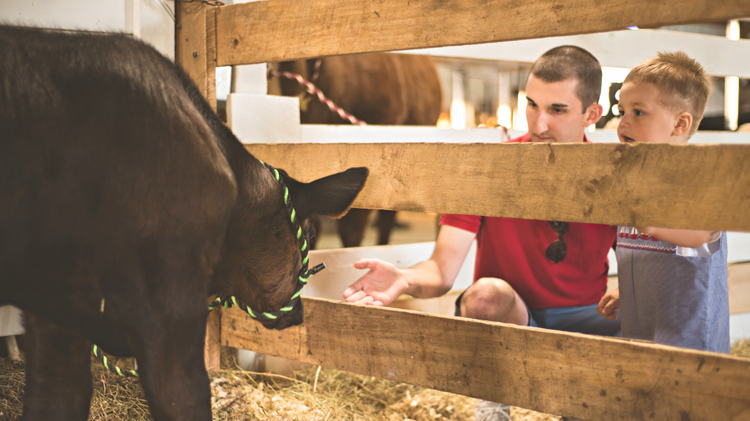 Tips for Visiting the Iowa State Fair for Kids with Different Sensory Needs