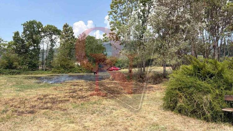 colleretto castelnuovo incendio boschivo