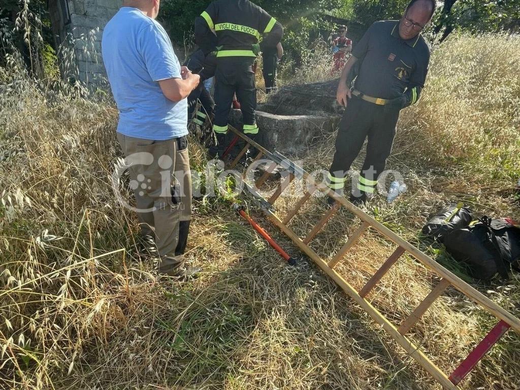 Tragedia a Roccadaspide, anziana trovata senza vita in un pozzo a Serra