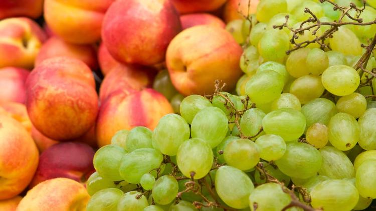 Nîmes : nouvelle distribution alimentaire de la Table Ouverte ce mercredi