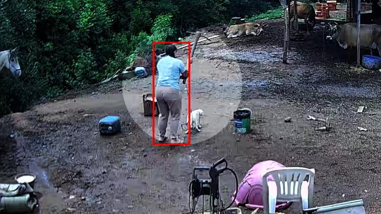 Mulher filmada matando cão com picareta é presa por maus-tratos em Porto Alegre; caso gerou protesto